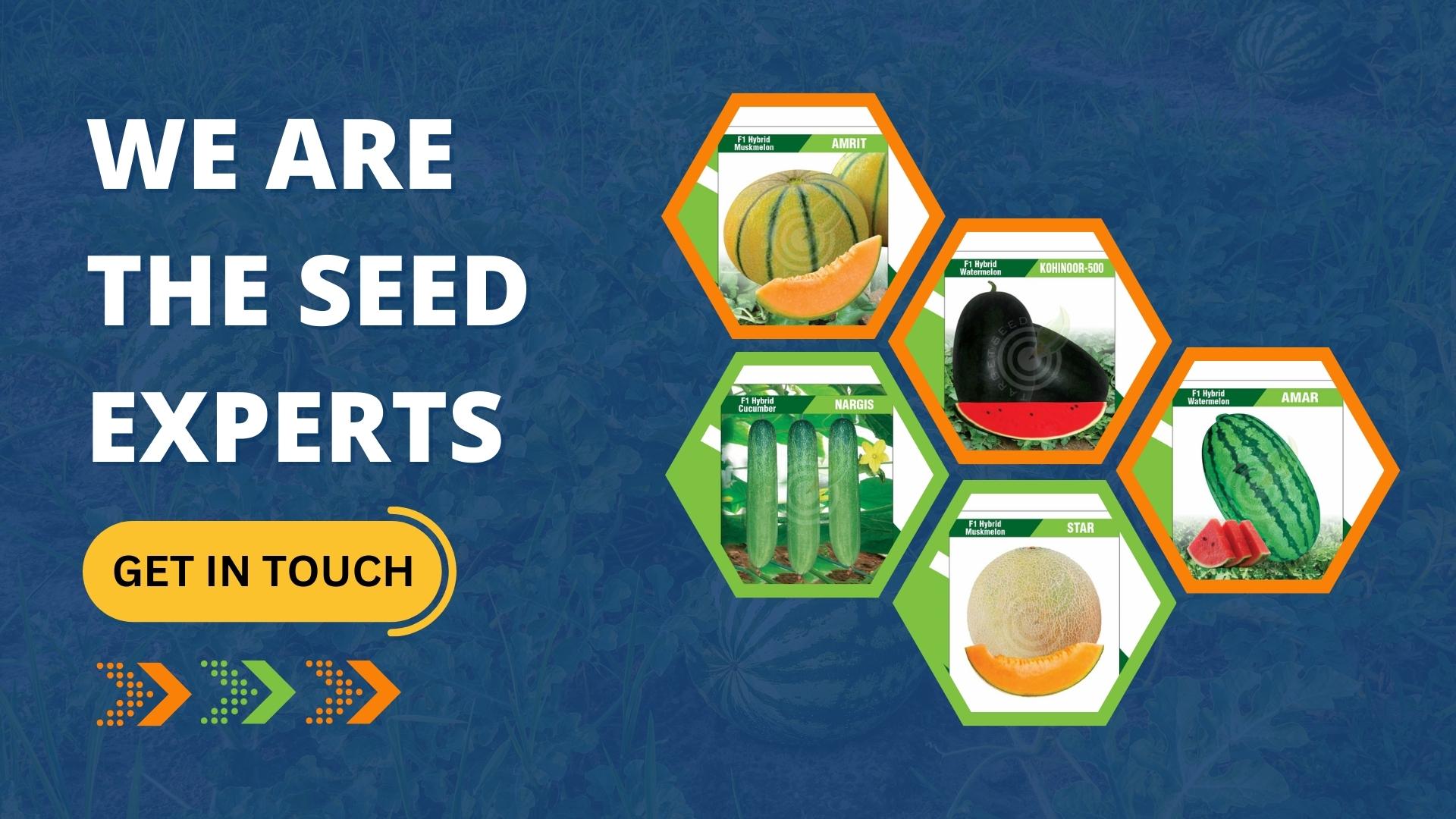 BEST (1920 × 1080 px) (1)